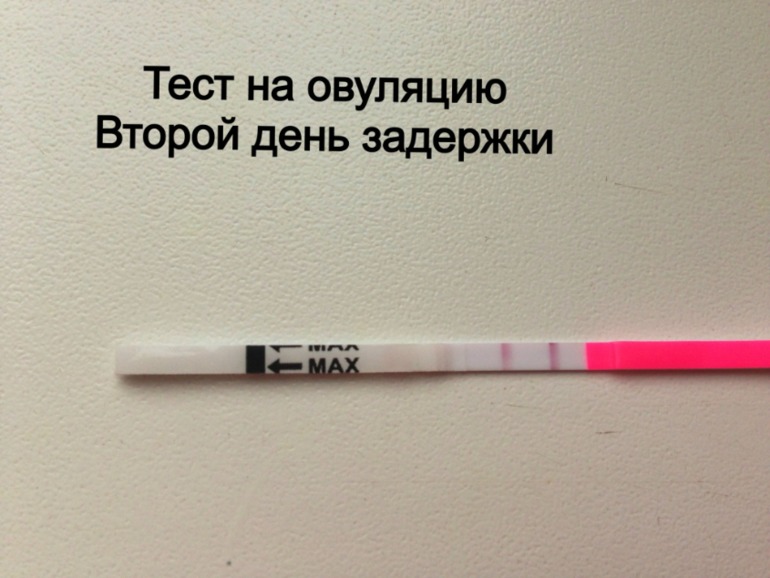 16 дпо последний тест