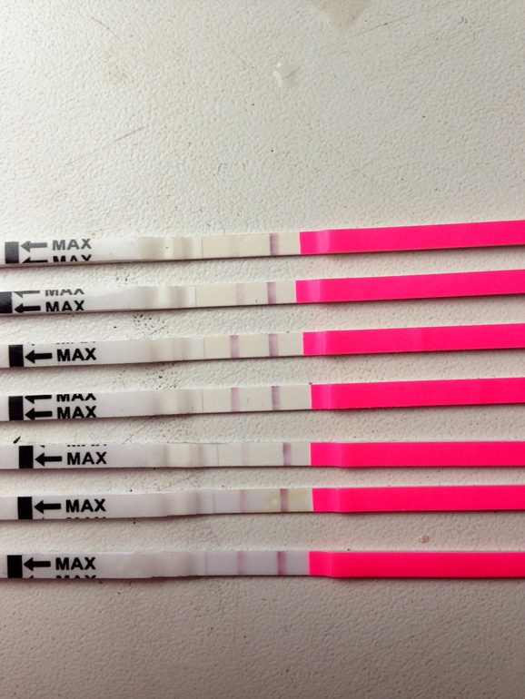 Овуляция тесты.