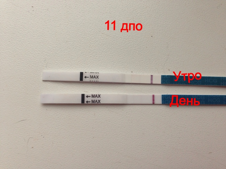 Сделала днем чтоб убедиться смотрите , что скажите 11 дпо .