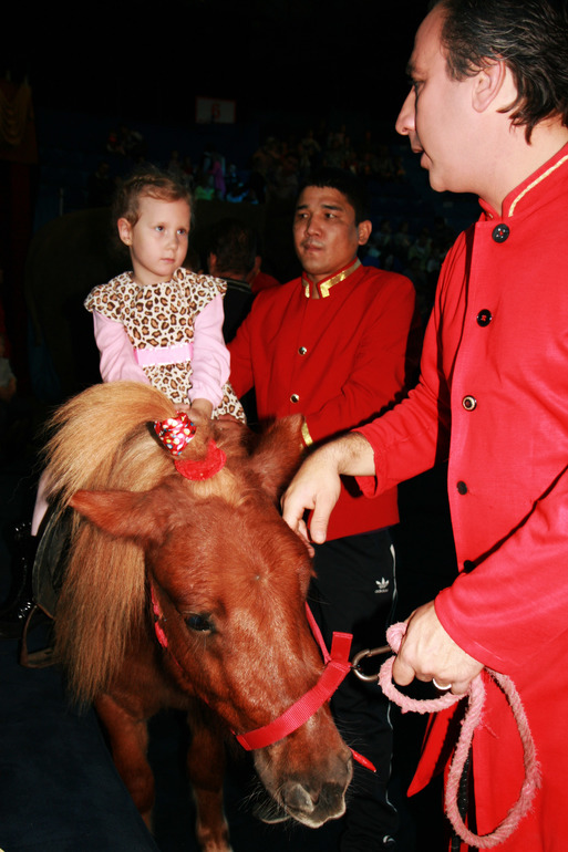 Цирк огромных зверей в Сокольниках. Отзыв)))