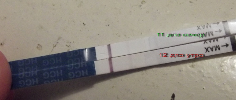 Утро не принесло спокойствия и уверенности в чем-либо))).