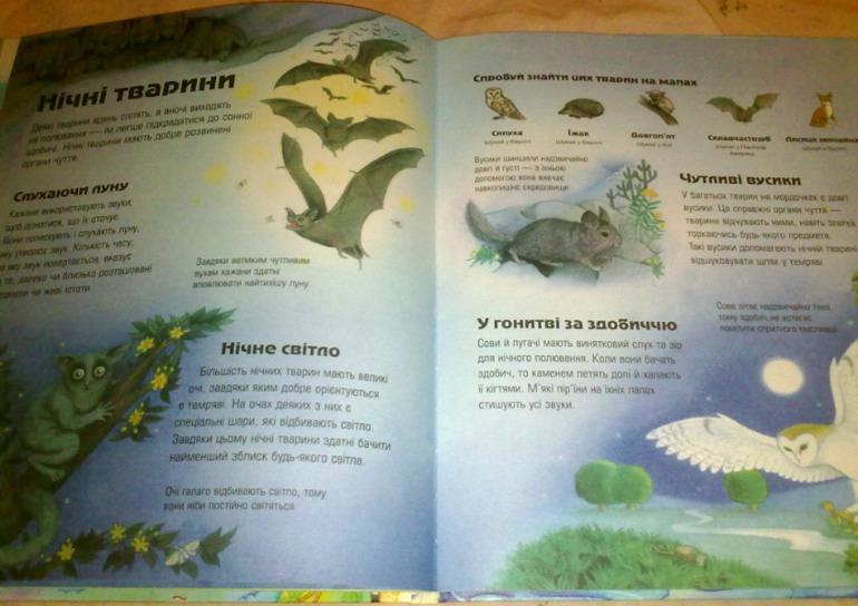 К зиме и не только