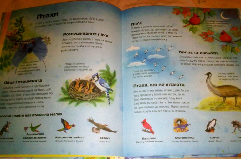 К зиме и не только