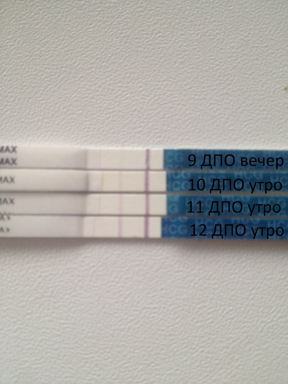 Фото тестов на беременность 9 дпо фото