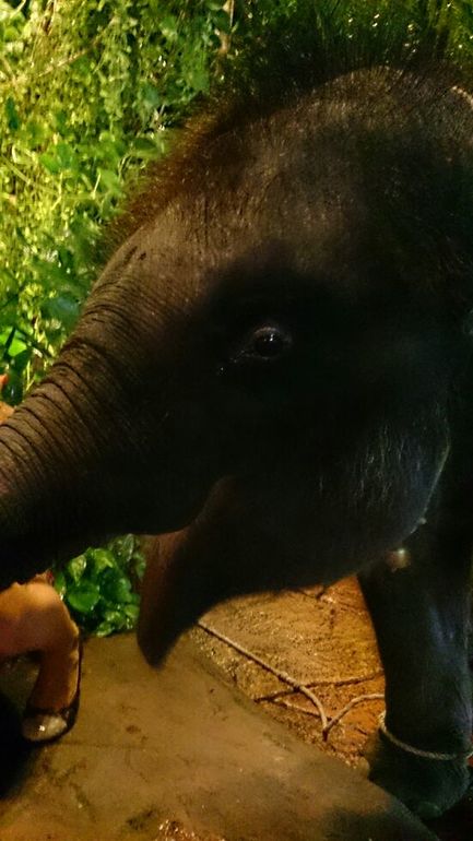 Путешествие в Таиланд. Сказочный остров Пхукет.