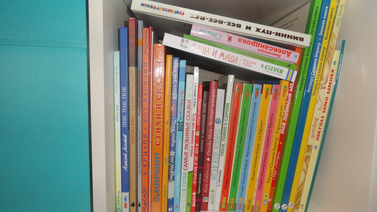 Ромашкины книжные полочки)