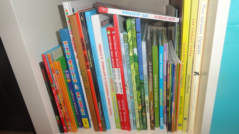 Ромашкины книжные полочки)