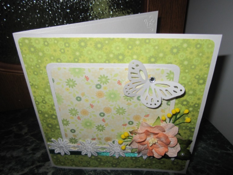 Моя первая ...