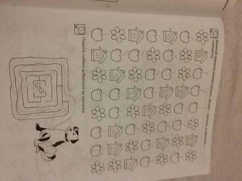 10ffa725bf84b8be9e7c64d7274dc6d0.jpg
