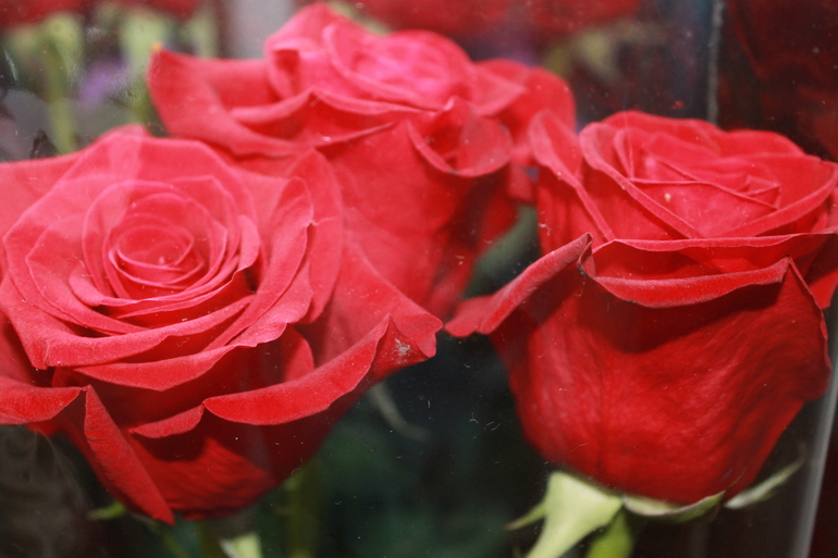 как мы родились =)