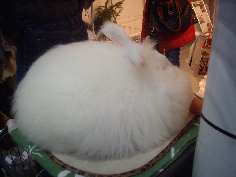 с пылу, с жару...