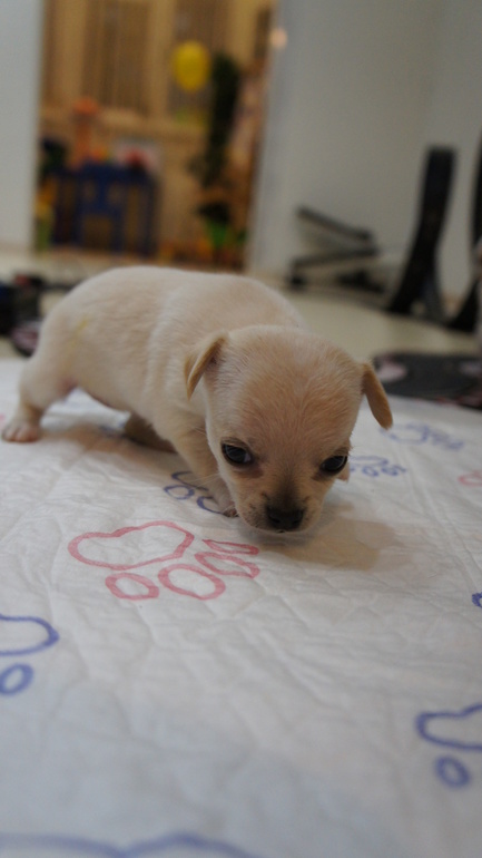 через 3 дня месяц)