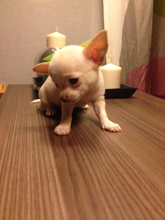 Актировка у малышей)