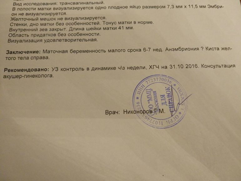 Размер плодного яйца по неделям беременности