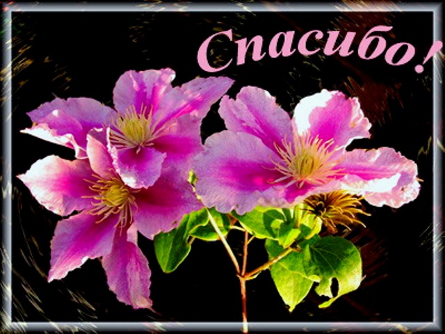 Спаибо большое ТАТЬЯНЕ!!!!!!!!!!