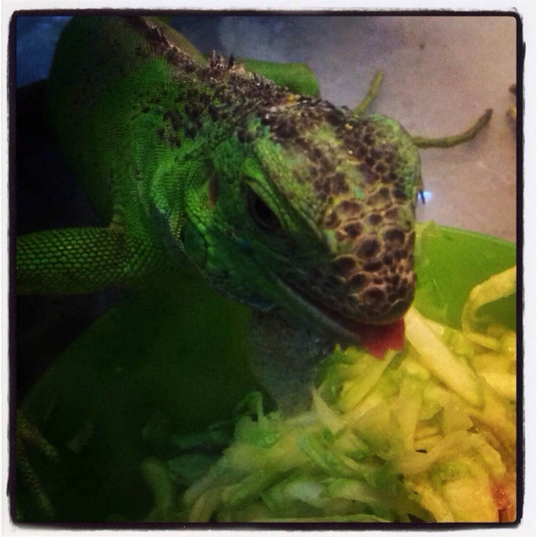 всех по чуть-чуть