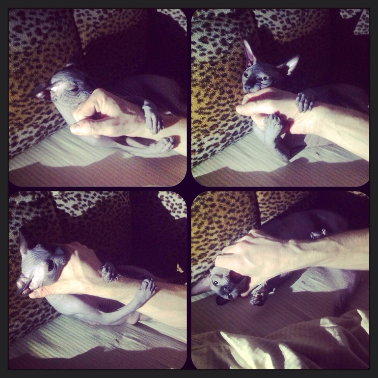 всех по чуть-чуть