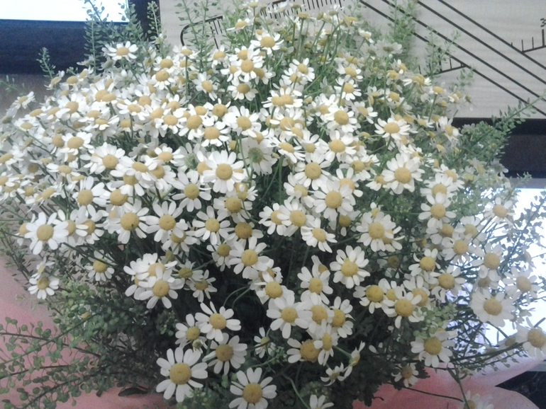 неожиданность