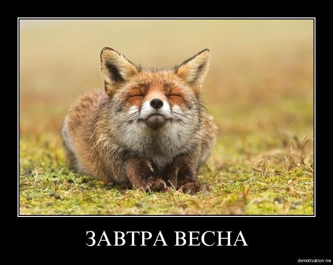 3ecf023eee273771e11120b864c8aec1.jpg