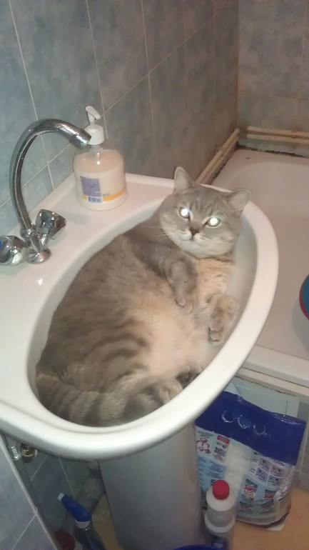 Моя любимая живность..)))