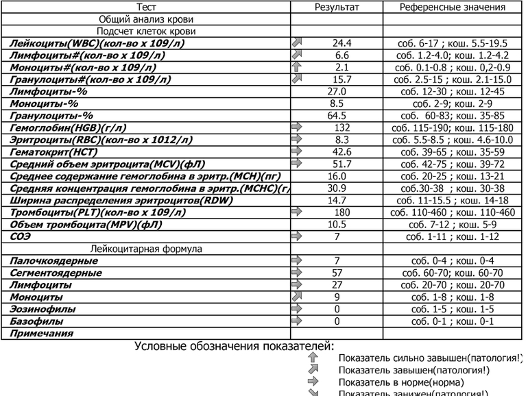 Анализ крови формула таблица Помогите расшифровать анализ крови у кота - 3 ответов форум Babyblog