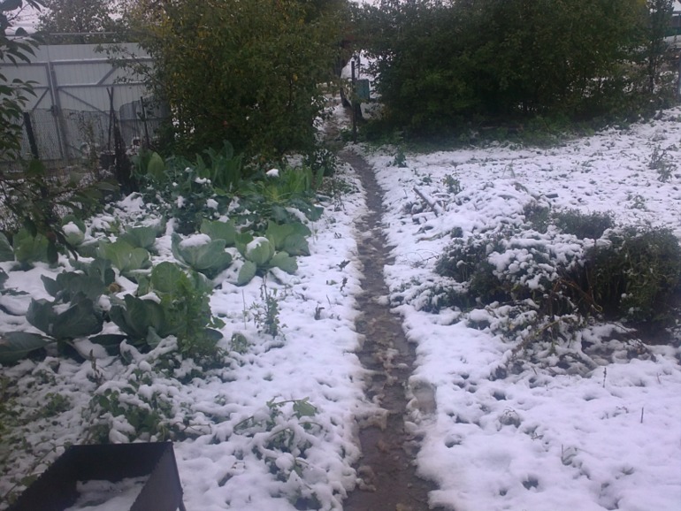 С первым снегом девочки!!!!!