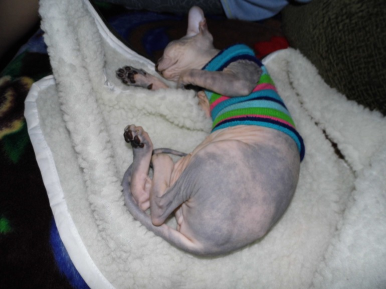 нашей малышке 4 мес.