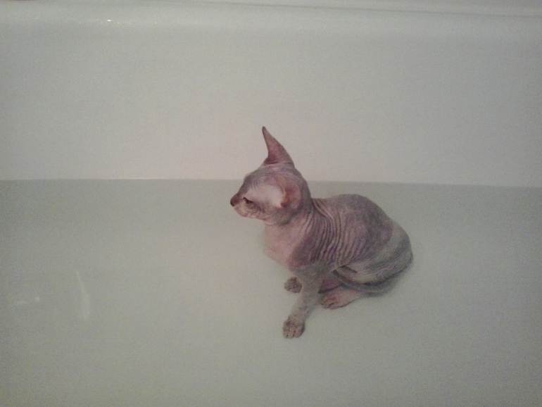 вот наше любимое занятие нашей малышке