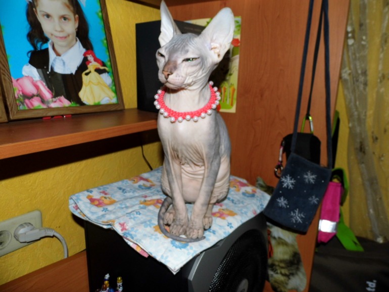 нашей малышке 4 мес.