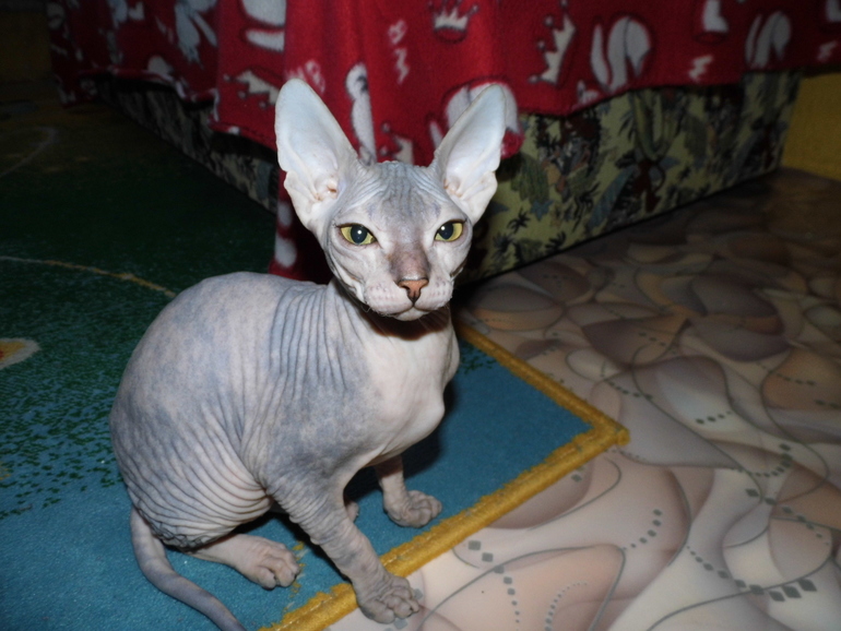 знакомьтесь это наша малышка