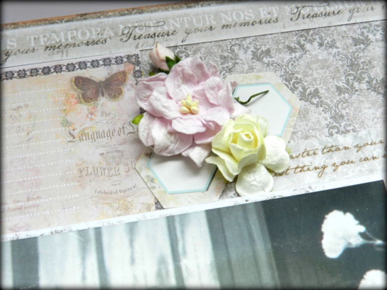 Большой-пребольшой семейный альбом :)