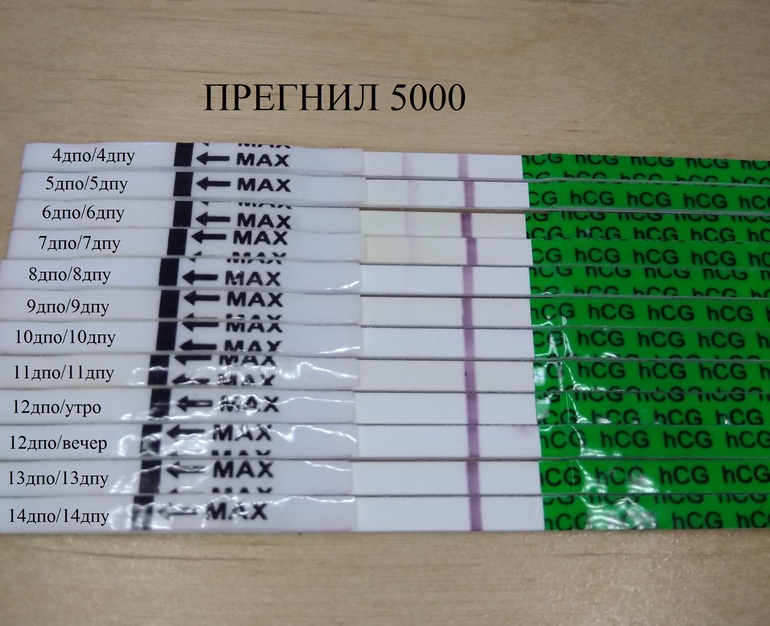 Беременность 8 дней после зачатия. День после овуляции. Пятый день после овуляции. 14 День после овуляции. Восьмой день после зачатия.