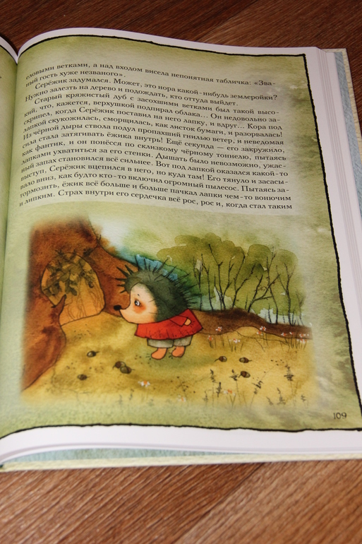 Новое пополнение книг или к дню рождения книги.