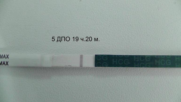 Тест 6 дата. 5 ДПО тест. 6-7 ДПО тест. Тест на беременность ДПО. 6 ДПО тест на беременность.