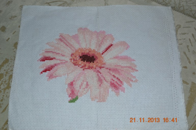 Мои "Герберы"