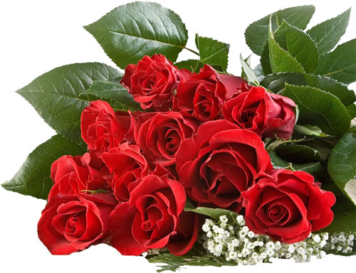 d03ac95cd10cf1d821347aef1bdb25d0.jpg