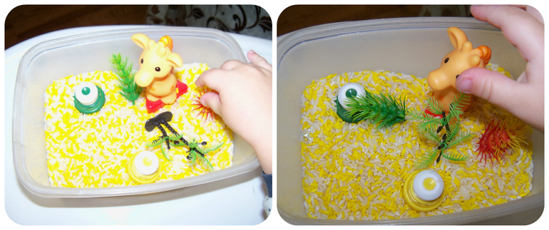 ТН «Животные Африки»