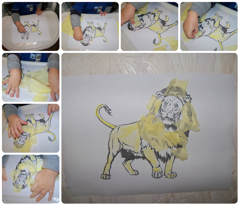 ТН «Животные Африки»