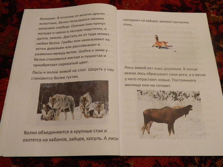 Книжка про зиму