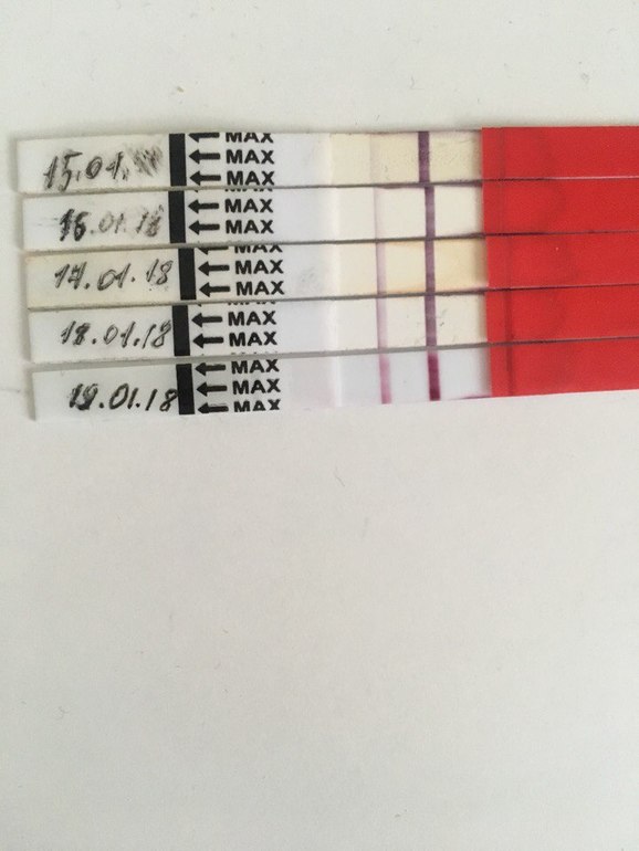 Задержка 5 месяцев. Задержка месячных тест. Задержка 5 дней. Тест на 5 день задержки. Задержка 5 месяцев.