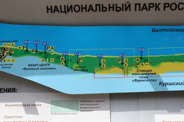 Куршская коса карта достопримечательностей