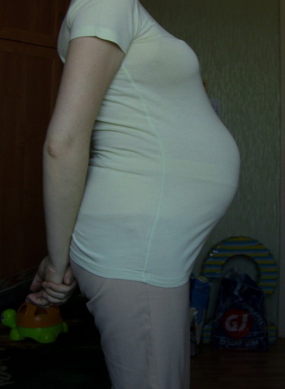 Третий триместр