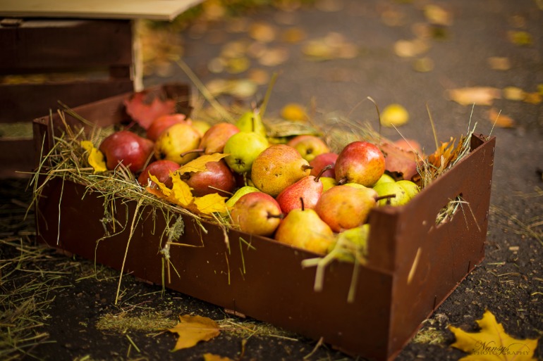 Детский фотопроект Baby pear