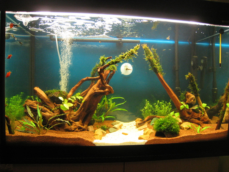 Мой аквариум 170 л.