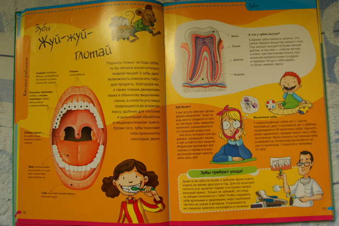 Нескучная Анатомия. Лабиринт