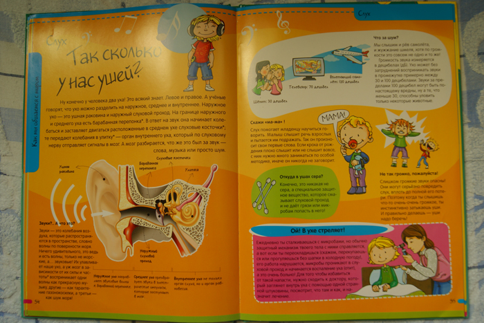 Нескучная Анатомия. Лабиринт