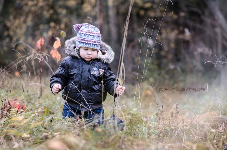 Поздняя осень.