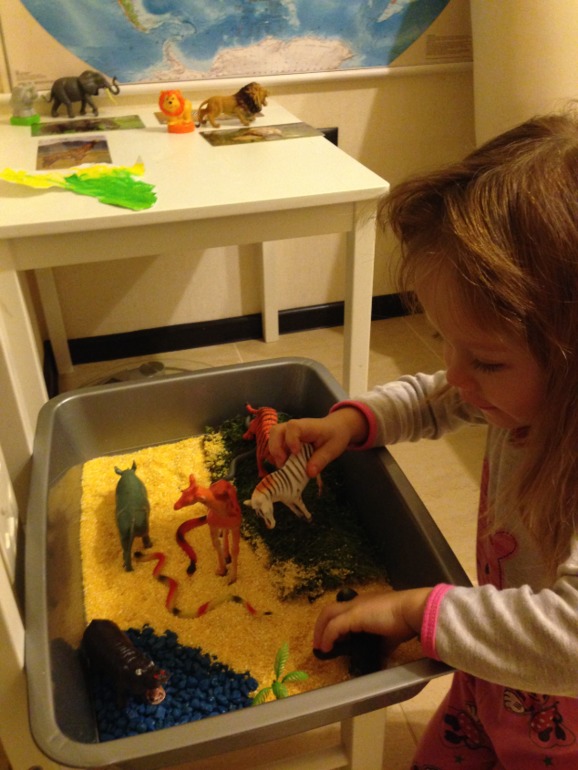 ТН Африка - продолжение