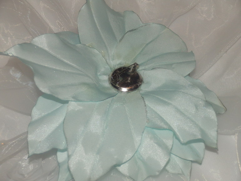 Первая лилия!