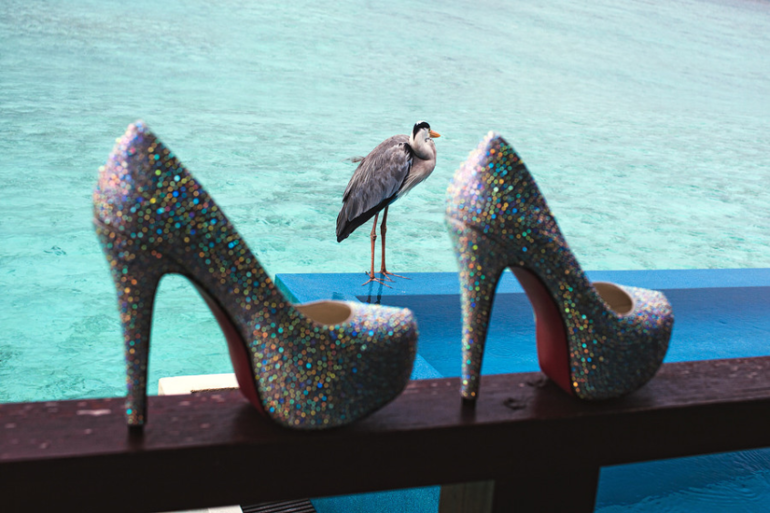 девочки, еще положительные фотки= эмоции!!!